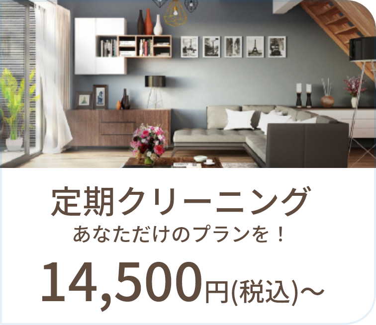 定期クリーニング